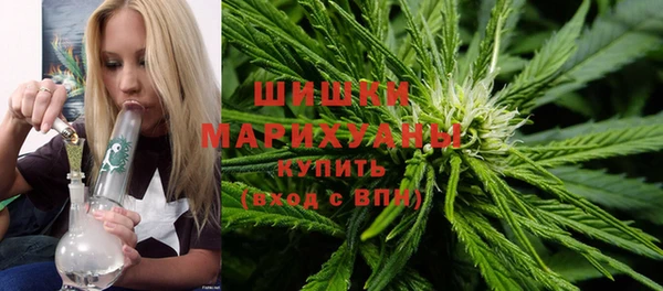 твердый Кулебаки