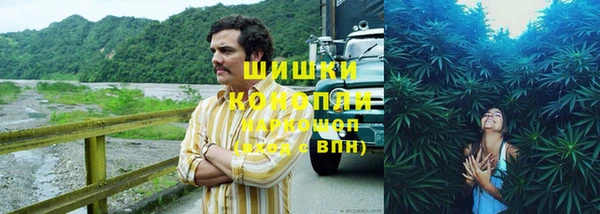 твердый Кулебаки