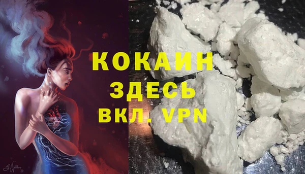 твердый Кулебаки