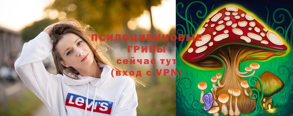 твердый Кулебаки