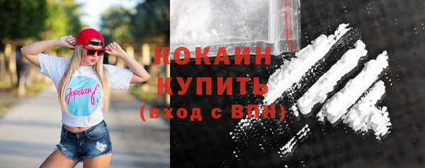 твердый Кулебаки